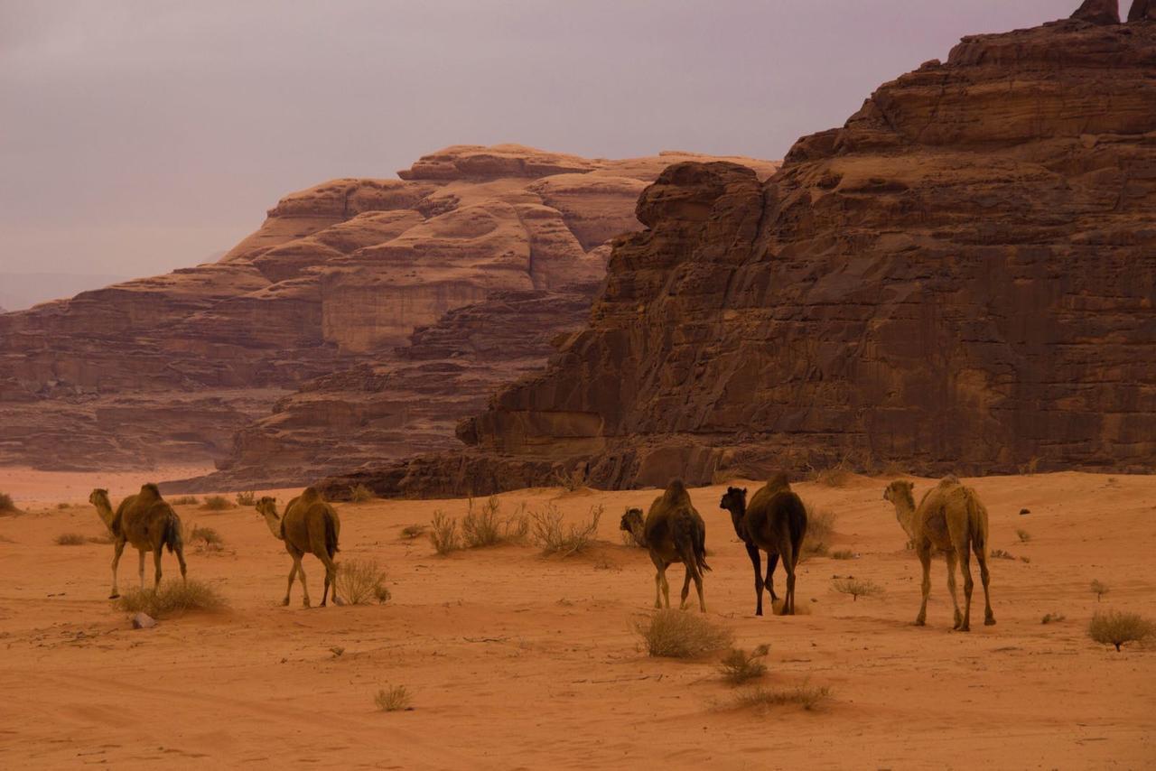 Wadi Rum Desert Secret Camp Екстер'єр фото